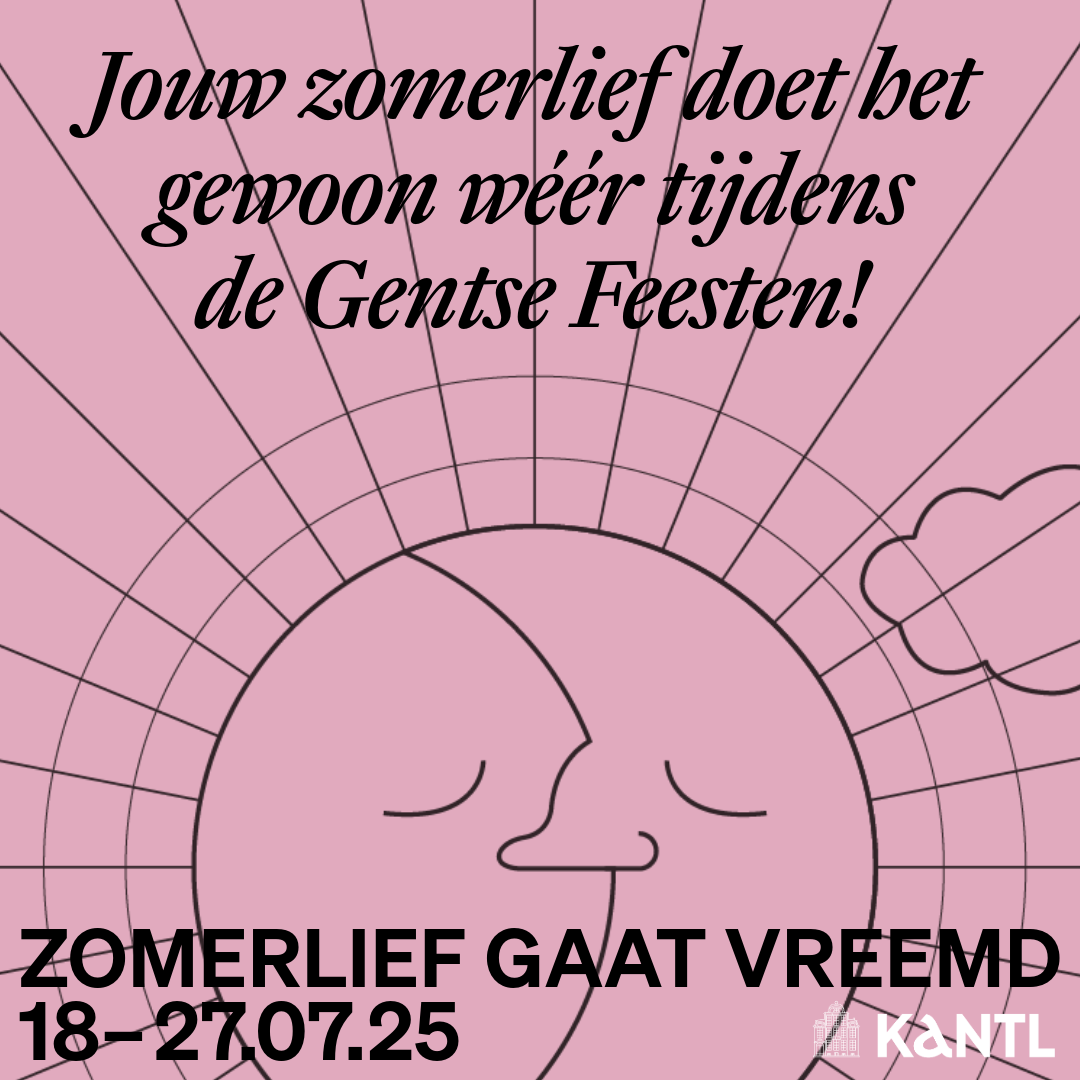 Eén literair zomerlief, vier broers, nul telescopen
